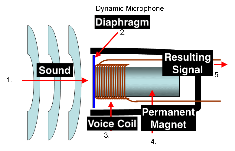 What is the Difference Between Dynamic and Condenser Microphones?