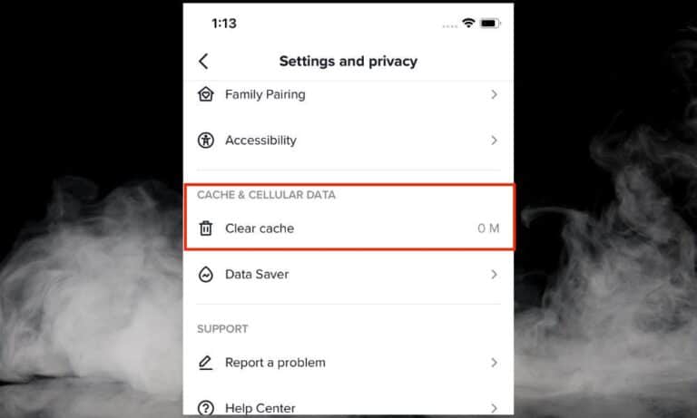 How to Fix Out-of-Sync Audio on TikTok [And Eliminate Delay] – Producer ...