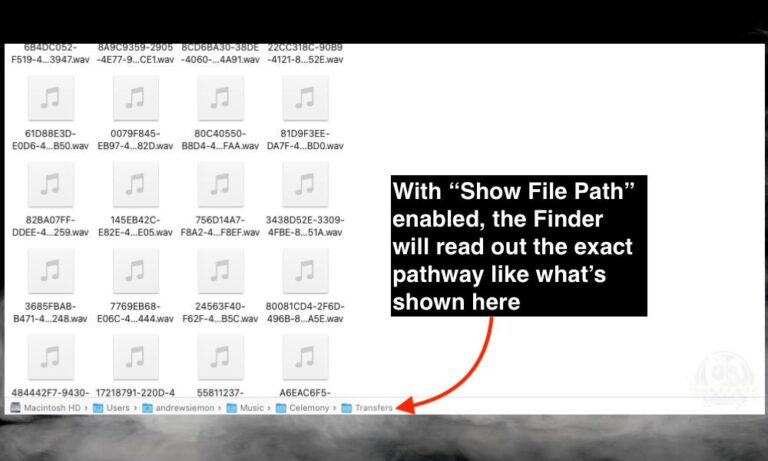 Where Does Melodyne Install VST? [And How to Find It] – Producer Society