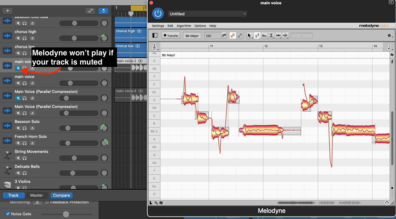 Why Can’t I Hear My Audio in Melodyne [ANSWERED] Producer Society
