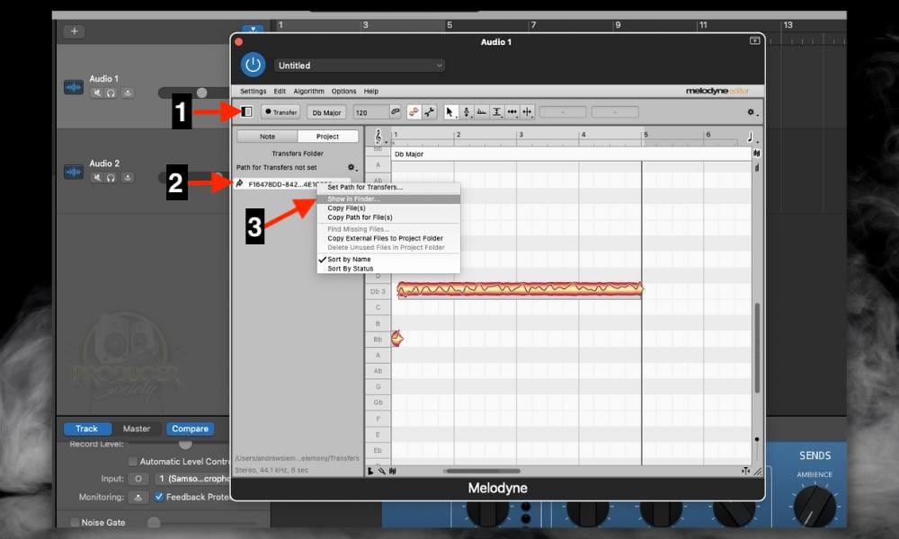 Show in Finder in Melodyne - How to Find Melodyne Files (Where They're Stored)