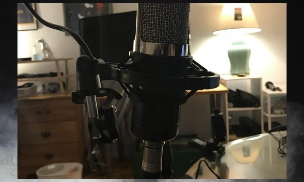 Ribbon Mic in Shock Mount - How To Connect A Ribbon Mic to A Computer [A Step-By-Step Guide]